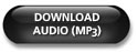 Search Engine Optimization for Bloggers MP3